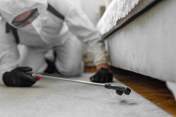 Professional Termite Control technician working in Camdenton, MO